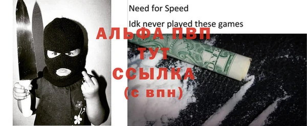 дживик Новозыбков