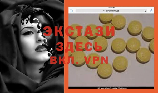 твердый Новодвинск
