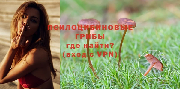 каннабис Новокубанск