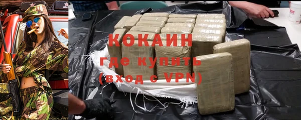 дживик Новозыбков