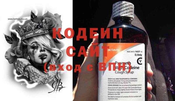 твердый Новодвинск