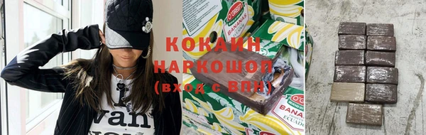 твердый Новодвинск