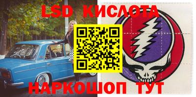 амф Заволжье