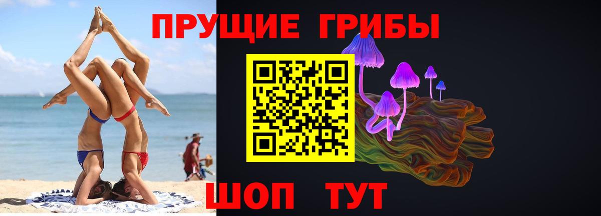 Псилоцибиновые грибы Psilocybine cubensis  Галлюциногенные грибы Psilocybine cubensis  Новоуральск 